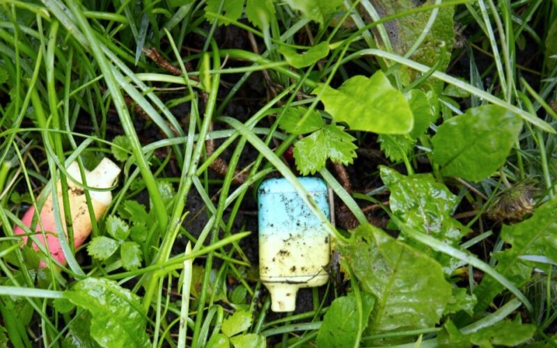 Single-use disposable vapes discarded in grass