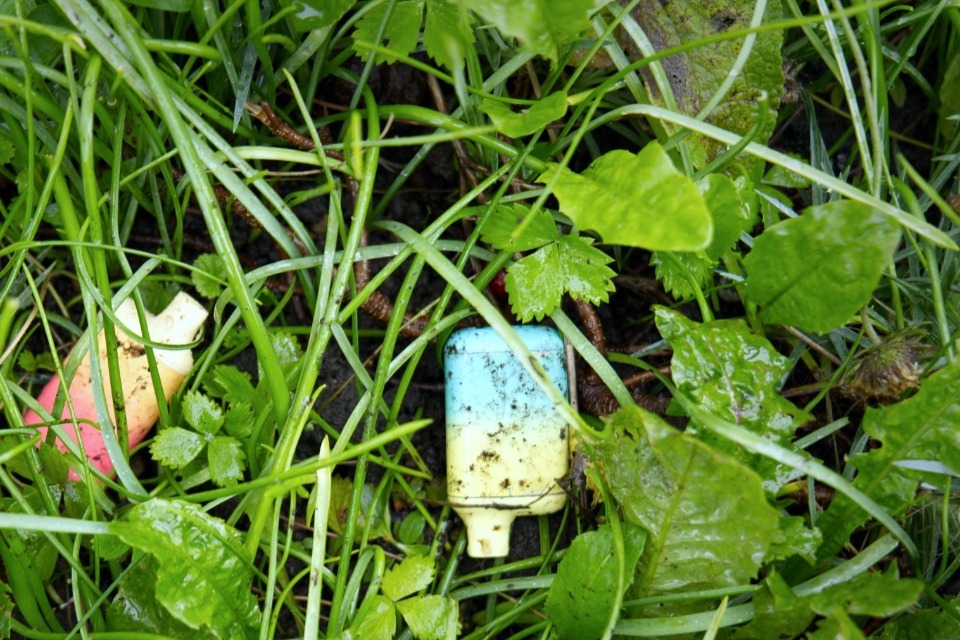 Single-use disposable vapes discarded in grass