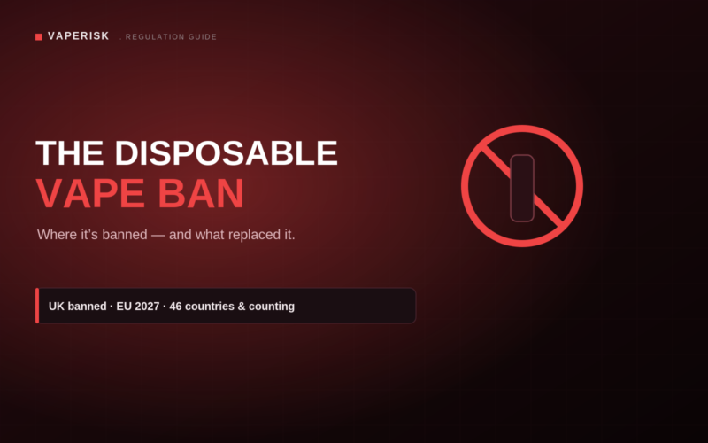 VapeRisk disposable vape ban guide cover with regulatory ban symbol and global policy theme