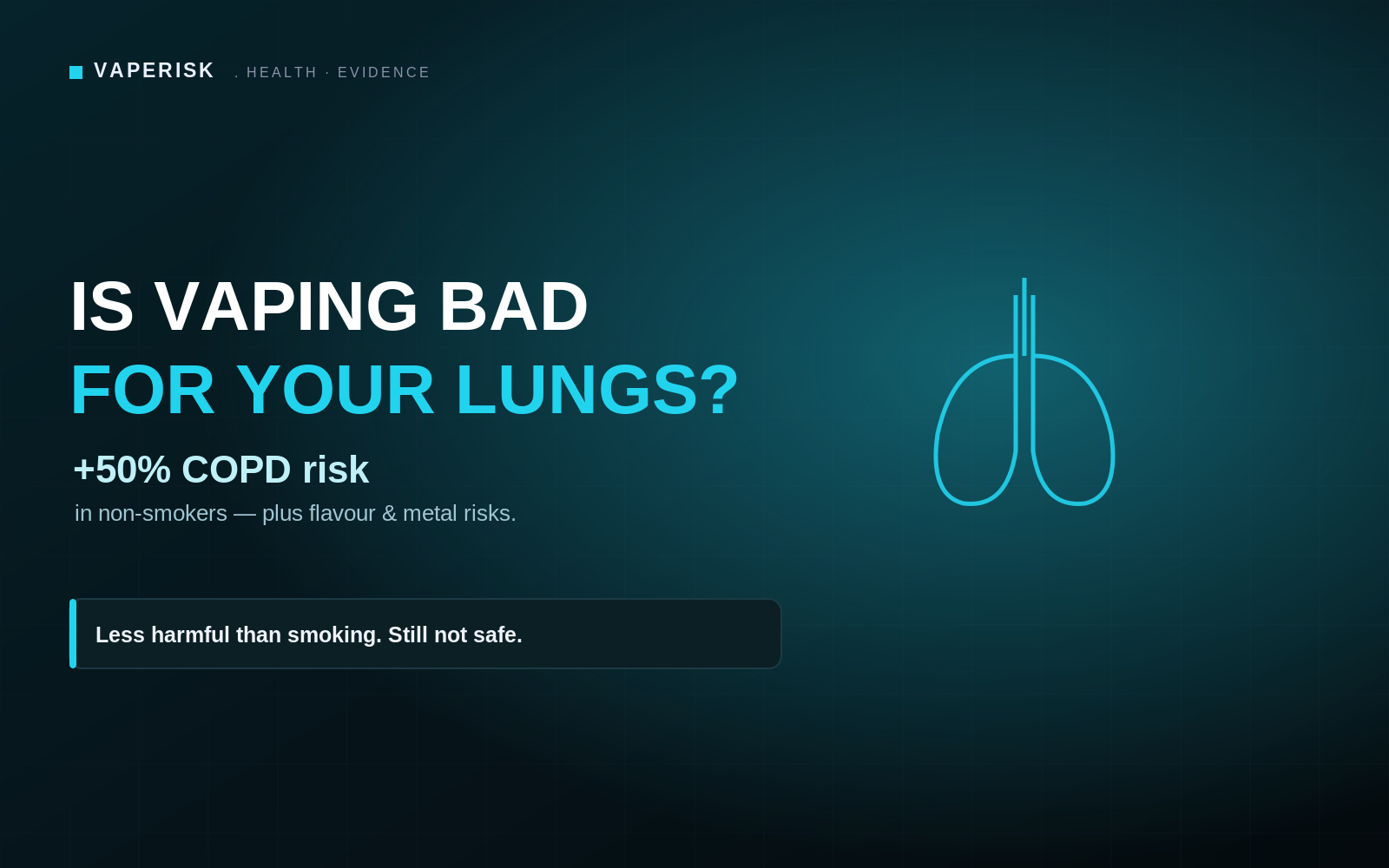 VapeRisk lung health guide cover explaining vaping and respiratory risk