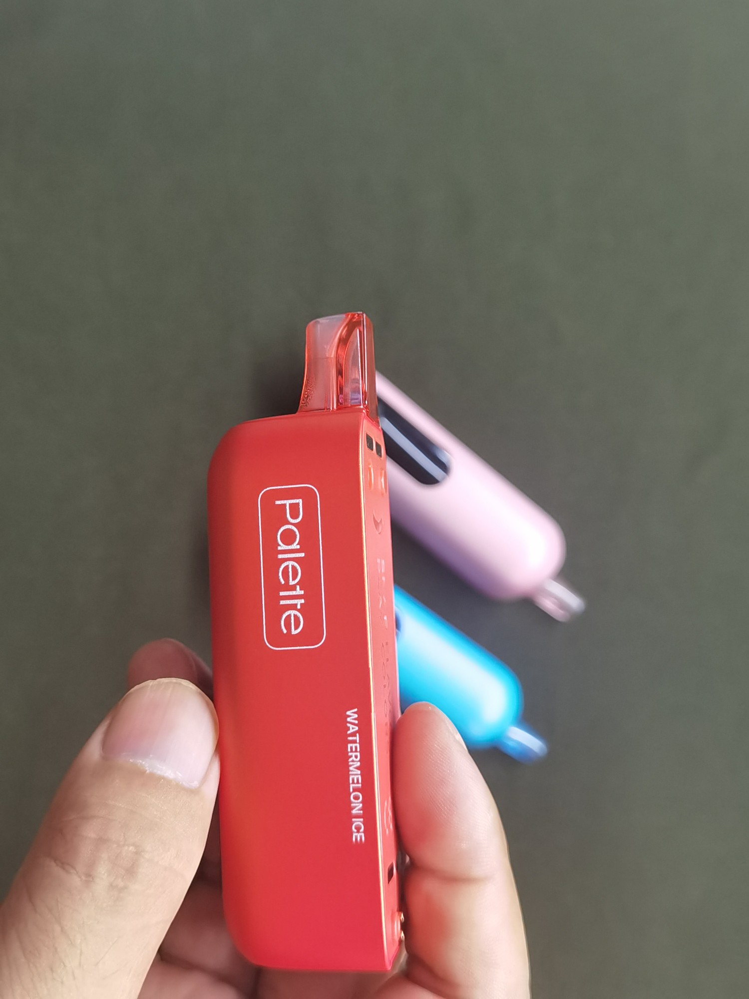 Hands-on photo of the Watermelon Ice REIGN BAR Palette review sample